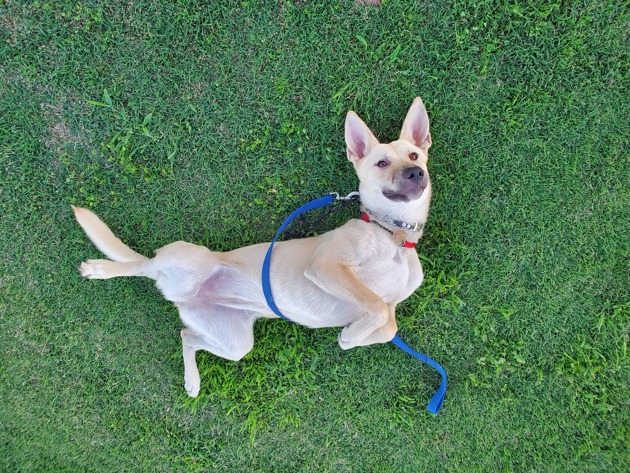 Maggie